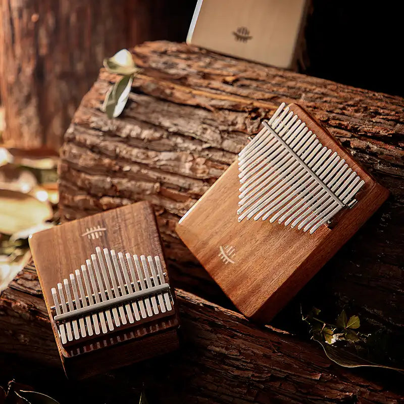 Isolated kalimba with wooden frame
